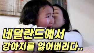 네덜란드 시골에서 한국에서 온 강아지를 잃어버렸어요 [upl. by Marrilee]