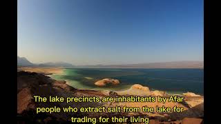 Lake Assal Afar Depression [upl. by Yanej]