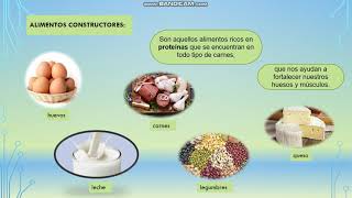 Clasificación de los alimentos según su función [upl. by Caesar]