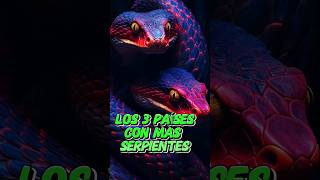 LOS 3 PAISES con MAS SERPIENTES del MUNDO🐍😱 serpientes datoscuriosos sabiasesto [upl. by Jamel]