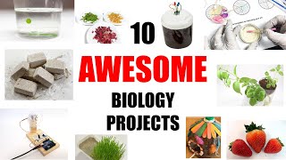 10 Awesome Biology Science Projects [upl. by Chem259]