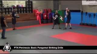 Pekiti Tirsia Kali PTKSMF Basic pangamut striking drill [upl. by Thun50]