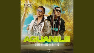 Aguanile Remix [upl. by Stiegler]