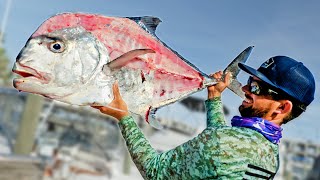 GIANT African Pompano  Clean amp Cook [upl. by Obadiah894]