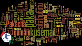 Top 10 Most Spoken Languages in Africa [upl. by Acillegna336]