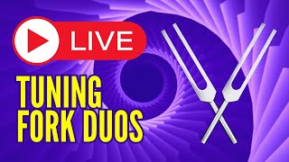 LifeChanging Tuning Fork Duos to Supercharge Your Vitality [upl. by Hsirk]