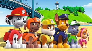 🔴Paw Patrol Ultimate Rescue  MARSHALL x SKYE Play ON Beach  Very Funny Story  Rainbow Friend 3 [upl. by Sirromaj142]