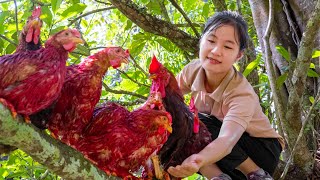 Harvest Forest Chicken Goes to the market sell  Ella Daily Life [upl. by Norda27]