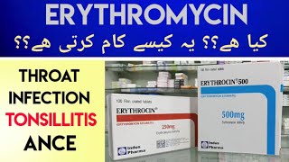 Erythrocin Erythromycin 500MG Tab Uses amp Side Effects In Urdu Hindi  Erythromycin For Sore Throat [upl. by Ynotna]