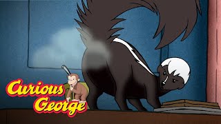 Skunked 🐵 Curious George 🐵Kids Cartoon 🐵 Kids Movies 🐵Videos for Kids [upl. by Ahsier104]