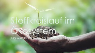 Ökologie Stoffkreislauf im Ökosystem und Biomassepyramide [upl. by Malim513]