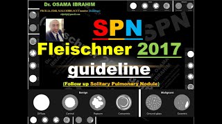 Fleischner 2017 guideline and how to follow up solitary pulmonary nodule SPN [upl. by Ettenwad269]