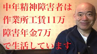 中年精神障害者は作業所工賃11万 障害年金7万で生活しています [upl. by Edmanda494]