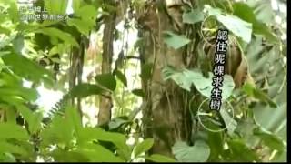 地平線上這個世界那些人 黃翠如 Epi12 [upl. by Niuqram261]