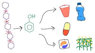 Lignin to Chemicals [upl. by Aniluap275]