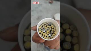 MATCHBOX 💣🔥 firecracker foryou diwalispecial crackers diwali homemade shorts [upl. by Fennelly]