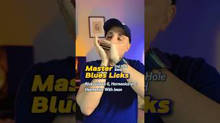 The 4Note Lower Octave Lick Every Harmonica Player Should Know [upl. by Shepp103]