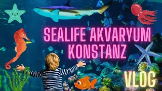 Akvaryum Gezisi Vlog  Sualtı Dünyası I Sealife Konstanz Aquarium Tour [upl. by Nylodnew660]