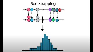 Bootstrapping vs Traditional Statistics [upl. by Chiles]