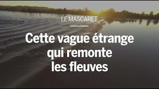 Mascaret  d’où vient cette vague étrange qui remonte les fleuves [upl. by Nitsirc]