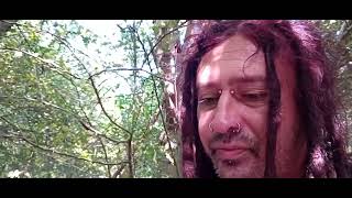 Snacking with Keeves in the trees episode 57 Burts Devon roast beef crisps [upl. by Nirad]