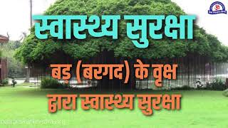 बरगद के वृक्ष द्वारा स्वास्थ्य सुरक्षा  Amazing Benefits of Banyan Tree  बरगद के फायदे क्या है [upl. by Cirtemed908]