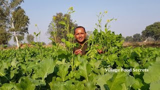 Gandlan Da Saag aur Bajre ki Roti  Saag Saag Sarson Ka Saag  Grandma Style  Village Food Secrets [upl. by Melisse]