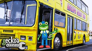 Party Bus  Gecko 2D  Learning Videos for Kids [upl. by Glennie948]