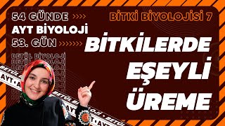 53 Bitkilerde Eşeyli Üreme  Bitki Biyolojisi  12 Sınıf Biyoloji  2024 AYT Biyoloji 53 Gün [upl. by Nordin]