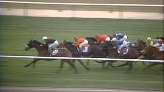 1985 Breeders Cup Turf [upl. by Gervais]