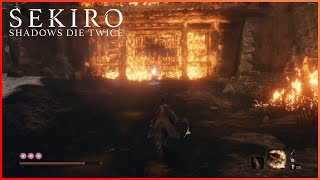 Sekiro  Hardest Final Boss [upl. by Menides]