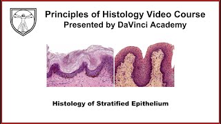 Epithelial Tissues Revision  Tissues Science Chapter 6  Class 9  Biology  SHIKHAR 2024 [upl. by Carlyn678]