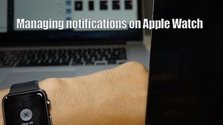 Understanding Notifications on Apple Watch [upl. by Harihs]