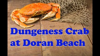 CRAB SEASON OPEN 2024 Dungeness at Doran on Kayak [upl. by Barnaby]