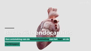 Bacteriële endocarditis [upl. by Richman]