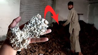 Process Of Making Cotton Seed Cake amp Cottonseed Oil in Local Factory [upl. by Guthrey]