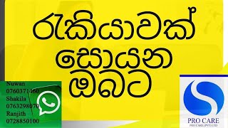 PRO CARE PVT LTD Financial freedom job provider of srilanka New Updat [upl. by Eaneg770]