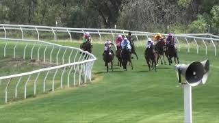 Goondiwindi 20231202 Race 1 [upl. by Ariahay]