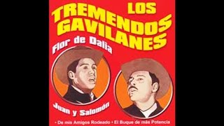 Los Tremendos Gavilanes  Flor De Dalia [upl. by Rufe]