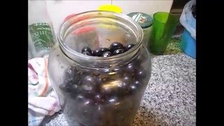 Cómo hacer aceitunas caseras negras 1 [upl. by Nadean]