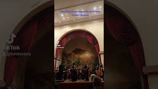 Ceman  Central European Academies Network Orchestra  concerto a Budapest [upl. by Yanetruoc53]