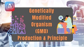 GMO Genetically Modified Organism Production amp Principle in Hindi  Biotechnology [upl. by Naldo540]