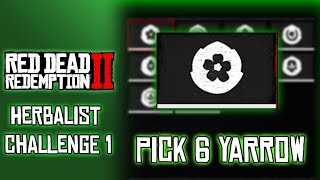 RDR2 Herbalist Challenge 1 Pick Six Yarrow [upl. by Durkee389]