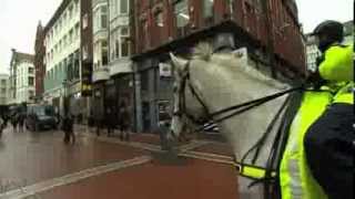 Garda Mounted Unit  RTÉ Morning Edition [upl. by Lexis]