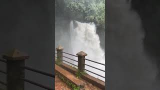 Harvalem Waterfalls Goa  Rainy Season Time  goa waterfall peace shortvideo trend [upl. by Aihsenek]