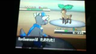 Pokemon Black and White WiFi Single 1  Kwandaoren66  ELo [upl. by Einomrah]