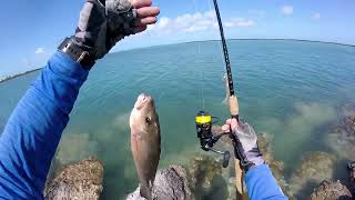 Shore Fishing in the Florida Keys  Snapper  Grouper [upl. by Odracer]