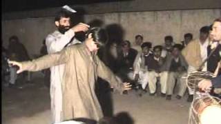 lakki marwat baz kalla imran wedding [upl. by Marty782]