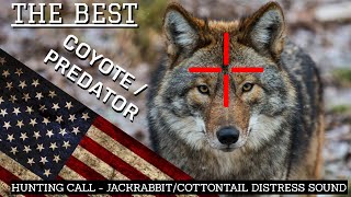 BEST COYOTE PREDATOR CALL Distress Jackrabbit Cottontail Sound Hunting Shooting Free 1 Hour USA [upl. by Viens]