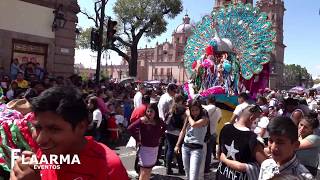 Morelia Michoacan festival toritos de petate 2019 [upl. by Ceciley]